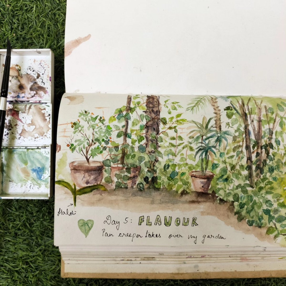 Day 5 of International nature journaling week: Flavour 

I have painted a part of my garden where the Paan creeper has overpowered my garden as its flavour overpowers our senses. 

#naturejournal #naturejournalingweek  #injw2023 #urbansketching #IndiAves #TwitterNatureCommunity