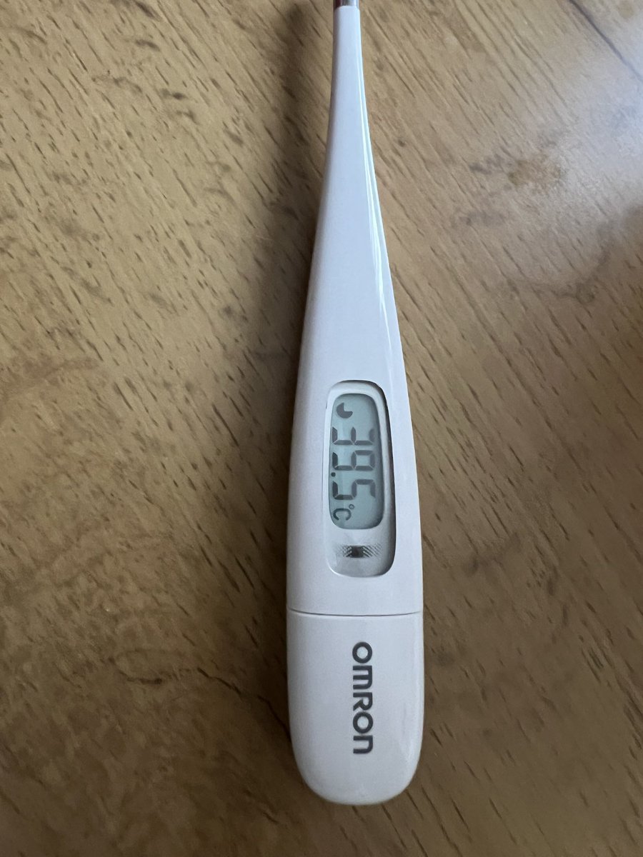 レニー🦖NFT『DinoRenny』Founder🦕 tweet media