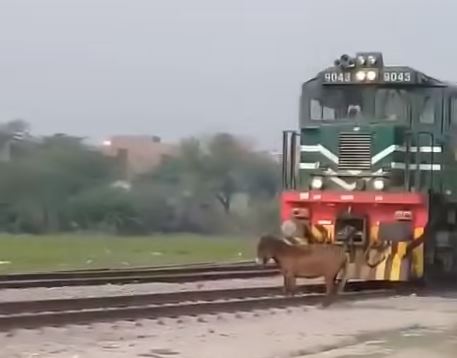 onebaddayDOTcom's tweet image. Monday vibe