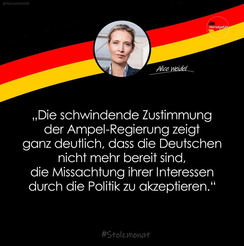 Alice Weidel fordert Neuwahlen!
Ich bin dabei, wer noch?

#Stolzmonat 🇩🇪🔥