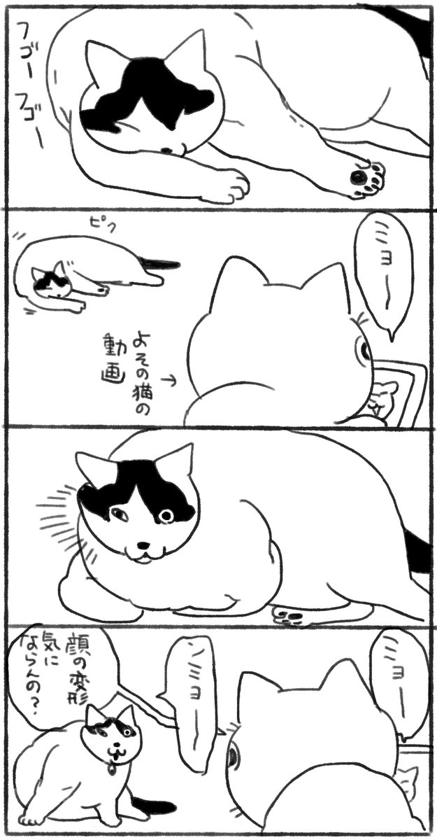 猫の寝跡好き