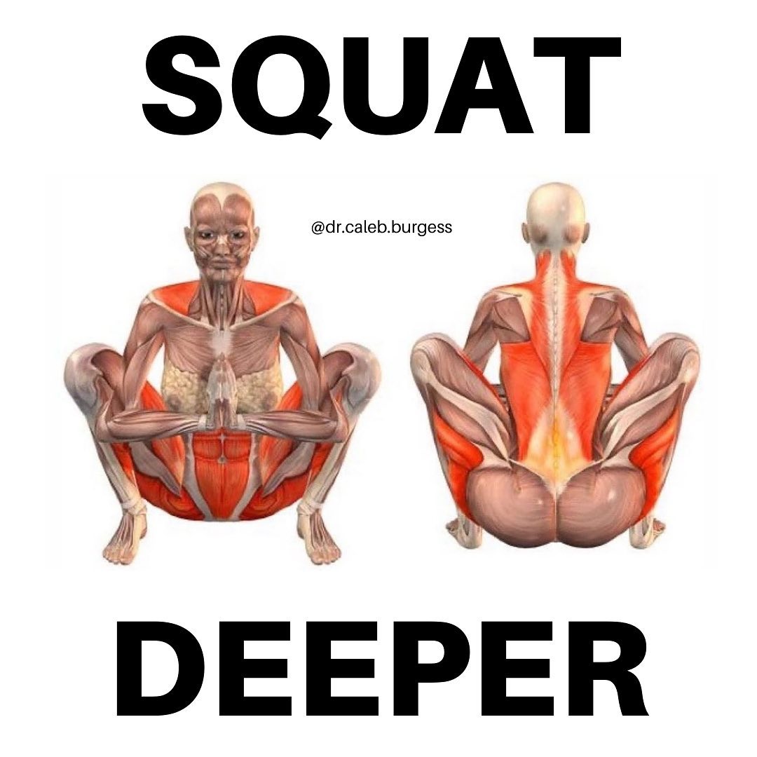 To Squat Deeper Open this;