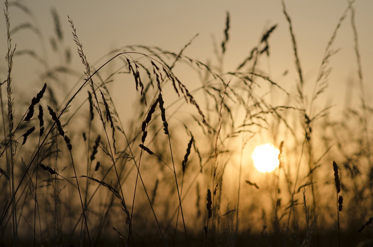 <a href="/the3rdtone/">3rd Tone</a> Classique.