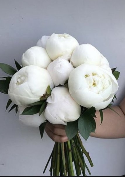 Klausmikea's tweet image. Happy birthday to hayley 💗 @LunarStrength