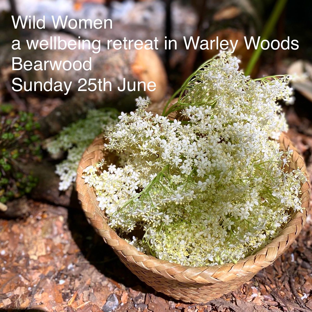 Wild women! Join us for our annual wellbeing retreat in Warley Woods, Sunday 25th June, 10am - 2pm.

More info &amp; booking at bookwhen.com/wildlives

#warleywoods #bearwood #brummiemummies #whatsonbrum #harborne #edgbaston #oldbury #smethwick