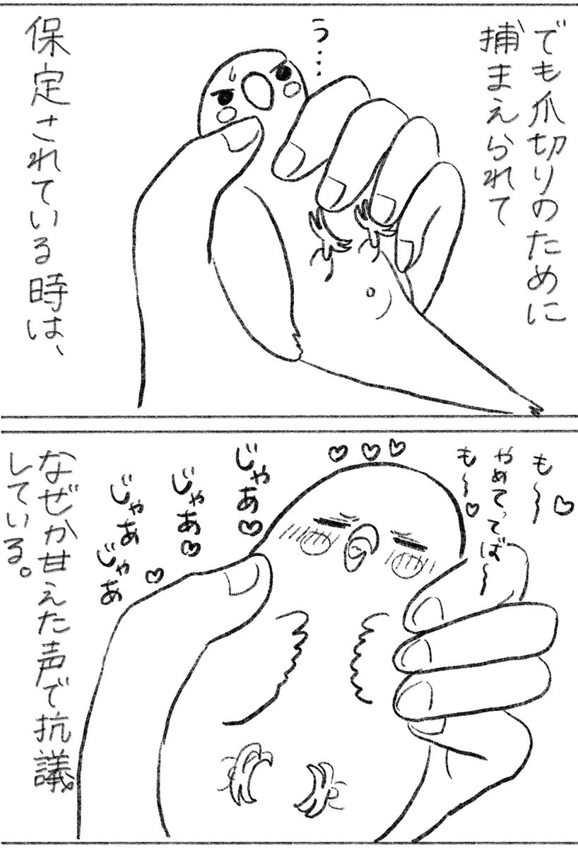 みっちゃん触れる唯一の時間。  ブログで未公開の100話分くらい絵日記読めます⬇︎ 