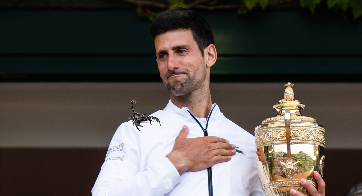 #ultimora Djokovic svela nuovo segreto: "Per essere sempre reattivo gioco con uno scorpione infilato nel culo"
lercio.it/djokovic-svela…