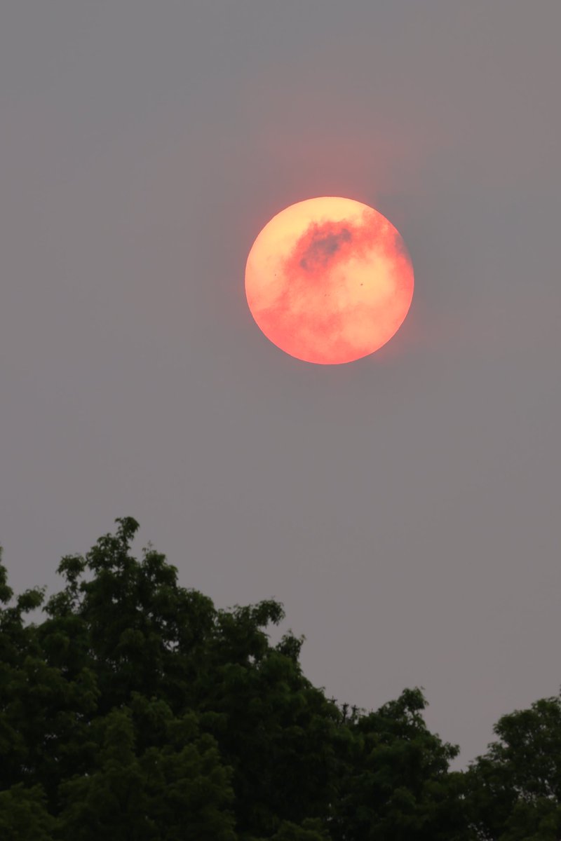 ScottRamzay's tweet photo. Mornin’
Straight out of camera. Checked the rules for #JuneGreenChallenge and color blocking qualifies. 😎🇨🇦
see weather…@Eweather13 #700mm @CanonUSAimaging #EditLater https://t.co/QCO33b9iOM