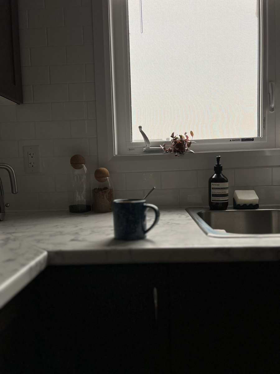 eeeeeeevoo's tweet photo. This is #home 🏠 https://t.co/QQdR60YvyR