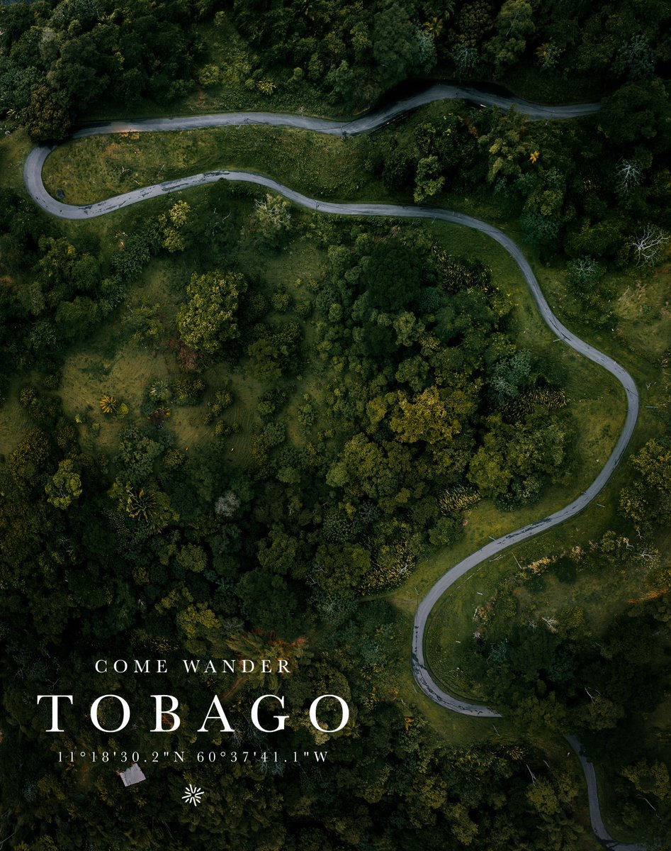 PJNWilliams's tweet photo. The twists and turns I don't mind - Tobago https://t.co/KC9eBgAsZv