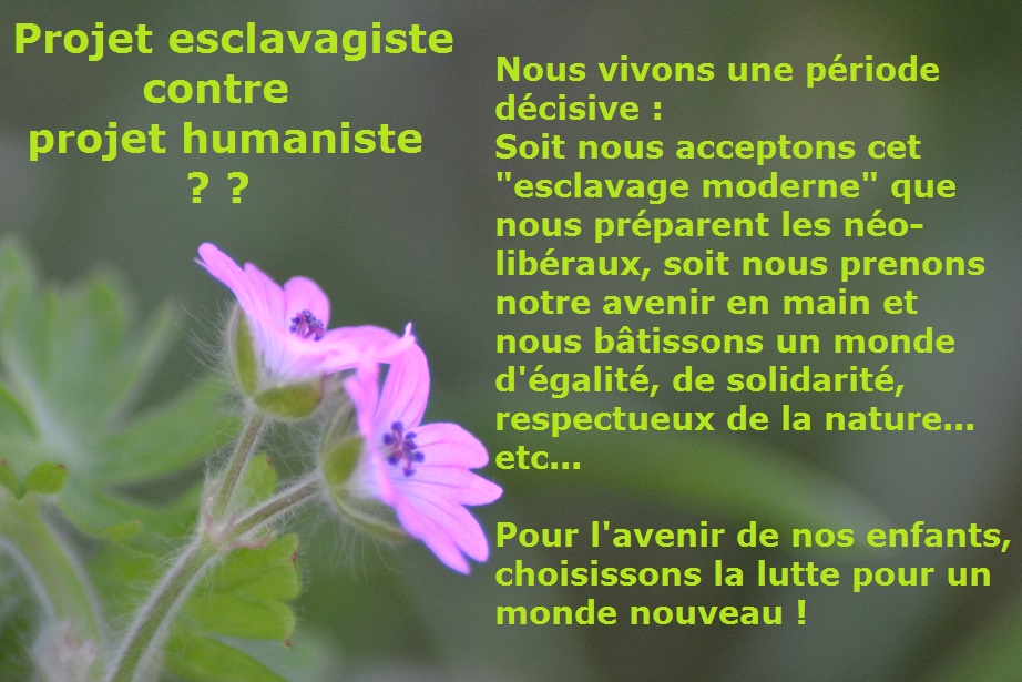 NeoResistant's tweet image. En 2021 les riches ont battu des records d'enrichissement : forbes.fr/classements/cl…
Mais pour nous... faut se serrer la ceinture....
Vous la voyez l'arnaque de la #macronie ?
#6emeRépublique #NonALaReformeDesRetraites #64ansCestNon #FollowBackNupes #6juin