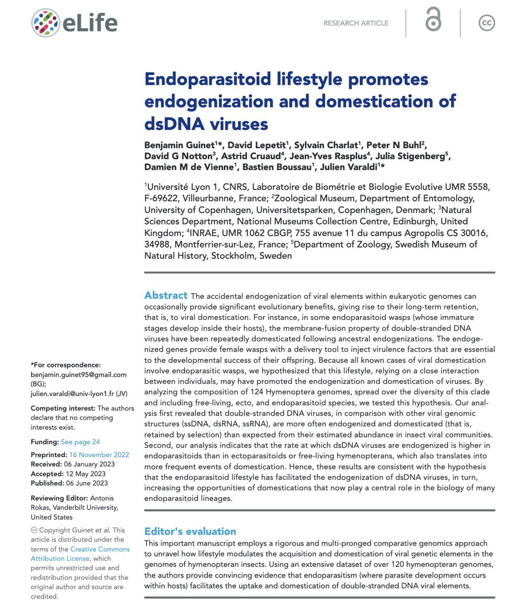 Excited to share my first PhD paper published in @eLife!  🎉 

This collaborative project was to explore the fascinating association between the endoparasitoid lifestyle and viral domestication. 

Read it here ⤵️
doi.org/10.7554/eLife.… 

#EvolutionaryBiology #ViralDomestication