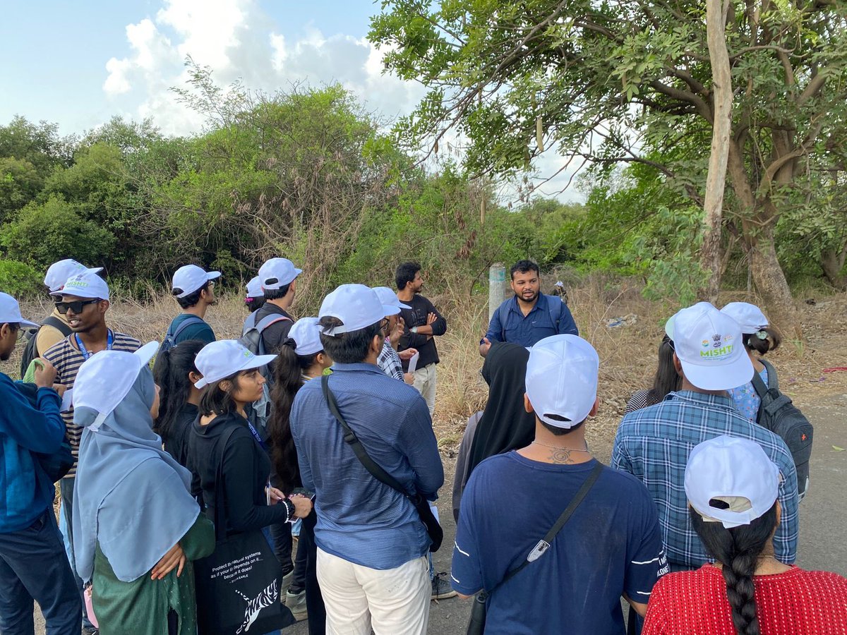 Mangrove Foundation of Maharashtra tweet media