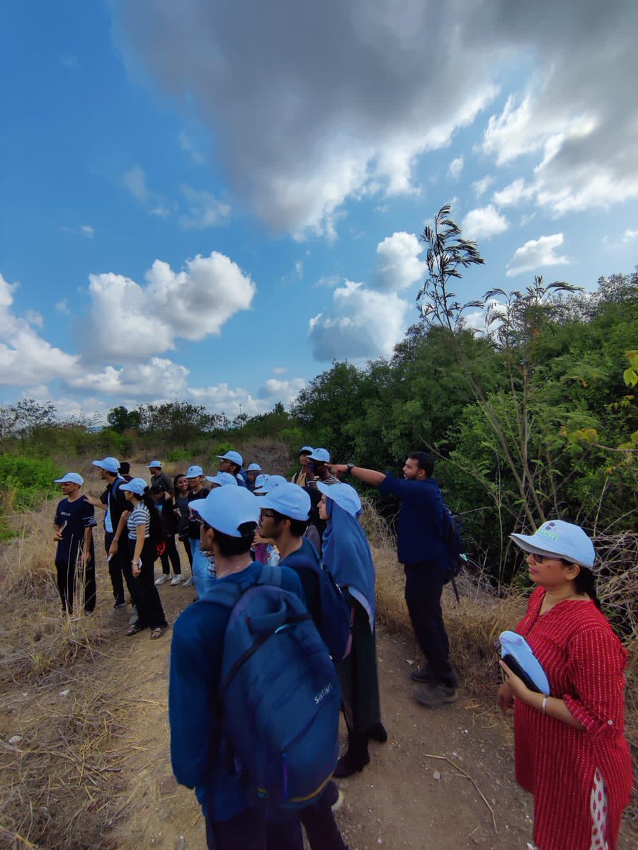 Mangrove Foundation of Maharashtra tweet media