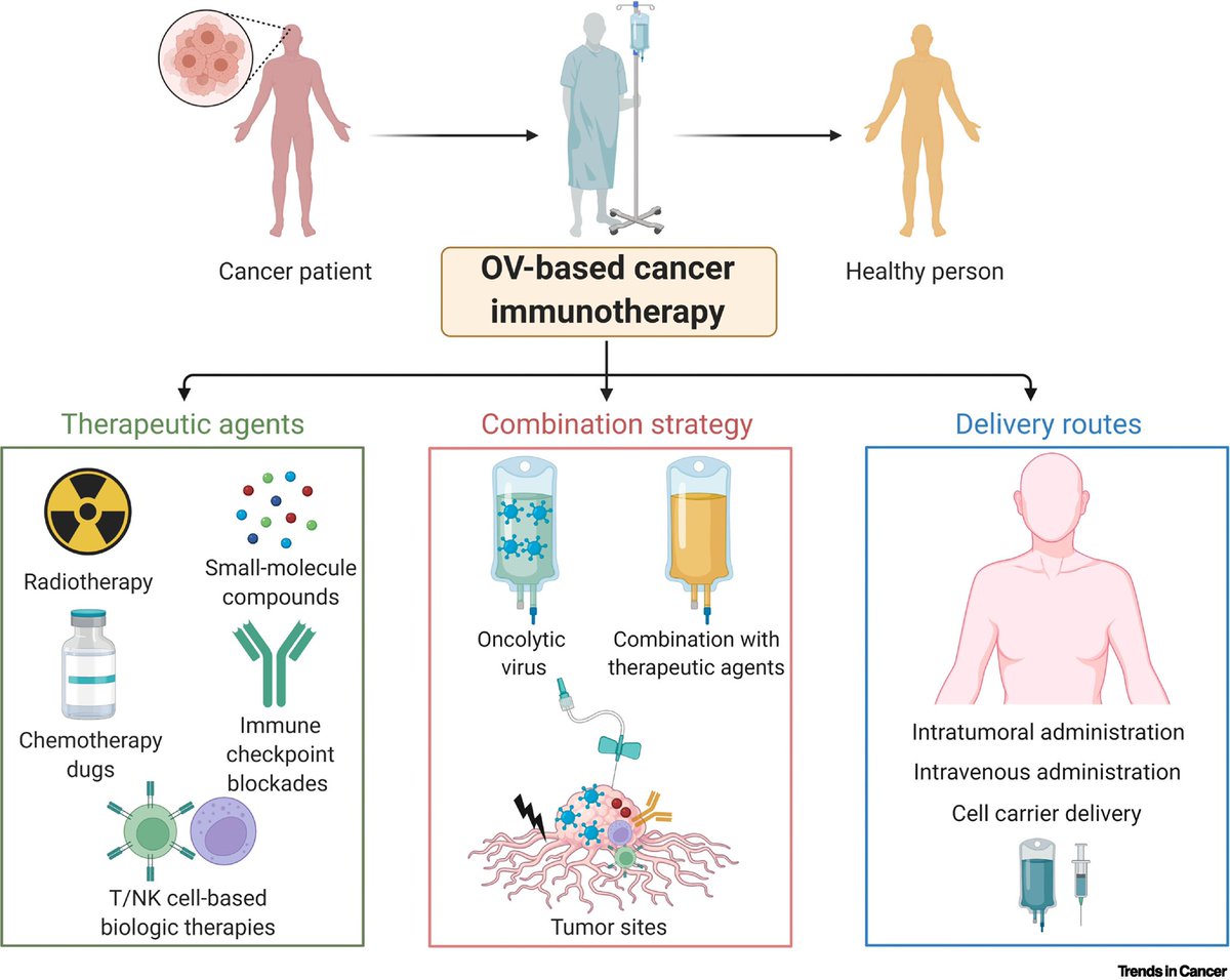 The emerging field of oncolytic virus-based cancer immunotherapy

@CellPressNews #ASCO23 #ASCO2023 #cancer #Immunotherapy 

cell.com/trends/cancer/…