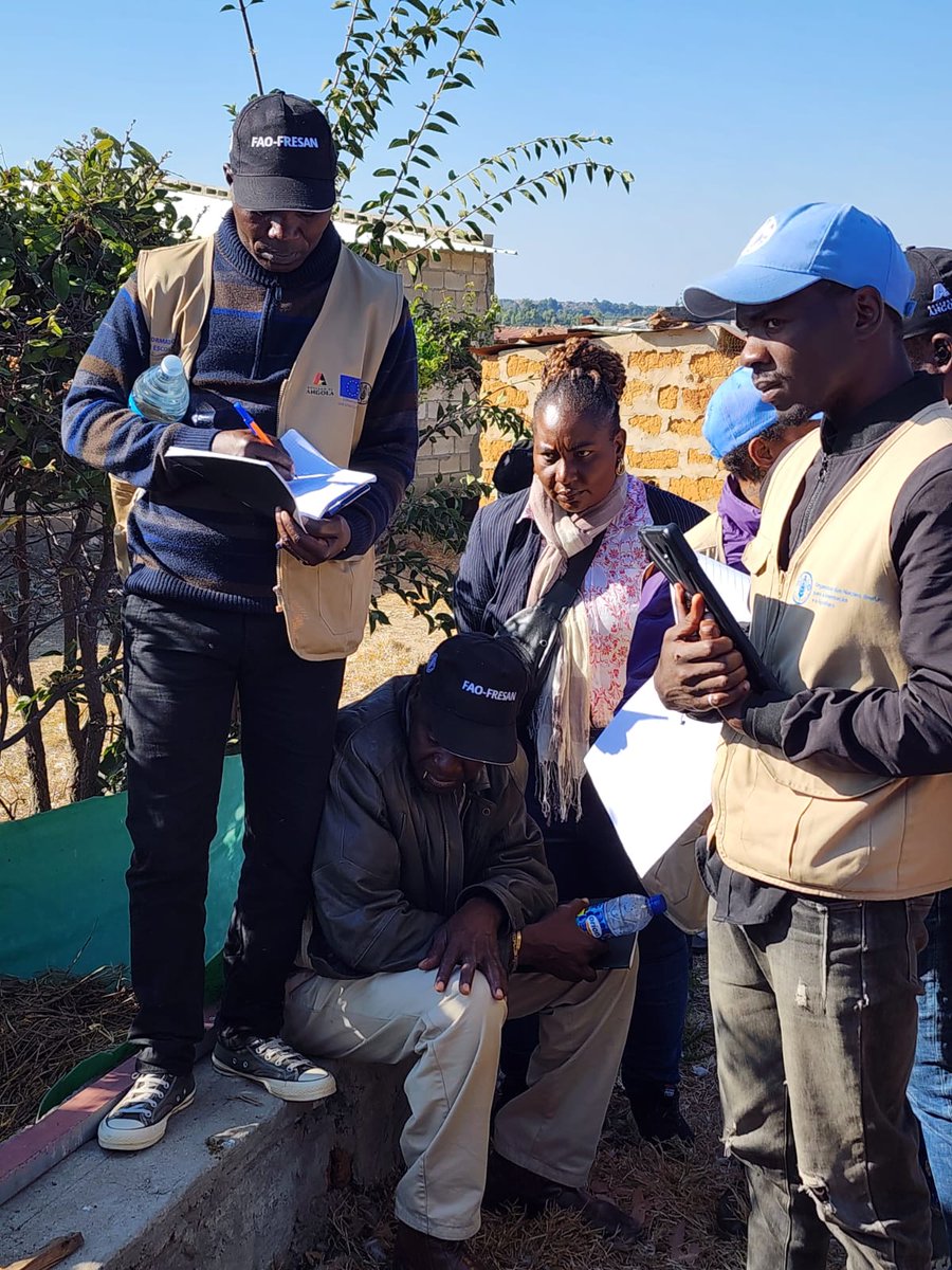FAOAngola's tweet image. Durante 2 semanas, 35 técnicos foram formados em Metodologia de Escola de Campo Agropastoris #ECAP na Estação Zootécnica da Humpata #Huíla, por técnicos do IDA e do ISV do Ministério da Agricultura, no âmbito da componente da #FAO no @fresan_angola, cofinanciada pela @UEemAngola.