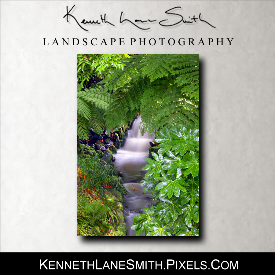 New Artwork For Sale: Over 350 Fine Art Photography Prints from around the world 
kennethlanesmith.pixels.com       
Thanks for Sharing!     

#BuyIntoArt #rtArtBoost #photography #naturelovers #fineartphotography #homedecor #walldecor #artprints #officeart #landscapephotography