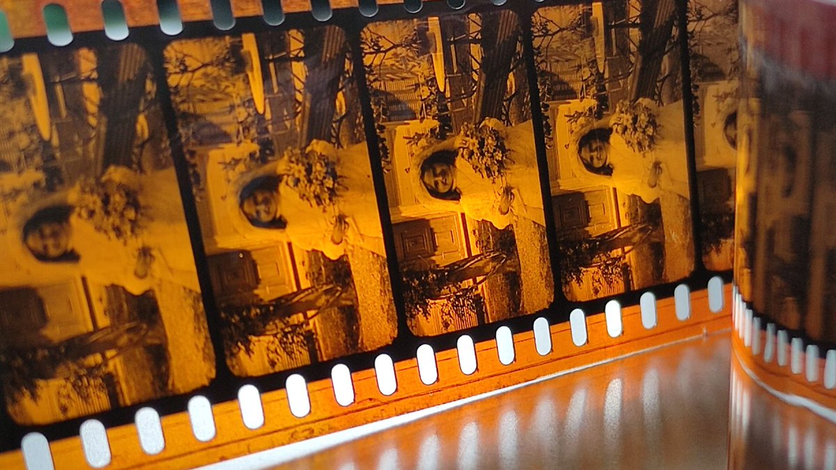 Filmoteca_es's tweet image. 💬 El #nitrato de celulosa, también conocido como #celuloide, es un material altamente inflamable que se utilizaba para la fabricación de películas antes de la aparición del acetato de celulosa en 1950. Fue ampliamente usado en la era del cine mudo.