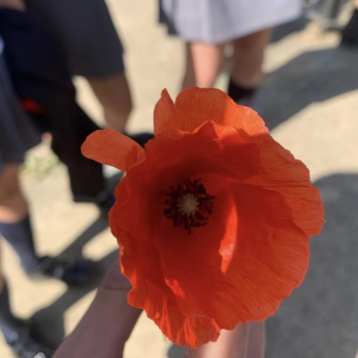 Concepcionistas Ponferrada tweet media