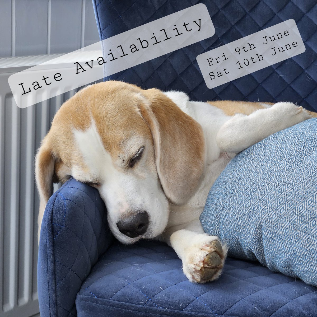 Do you need to recharge your batteries? 

Some rooms have become available this coming weekend, Friday 9th and Saturday 10th June

Reservations can be made directly on our website 

#lateavailability #lastminute #escape #relax #recharge 

#dogfriendly #rannochmoor #booknow