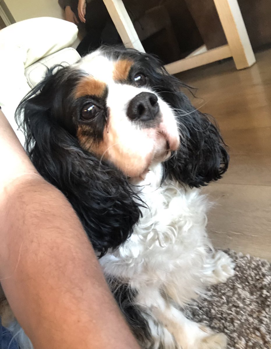 Mitchell tweet media