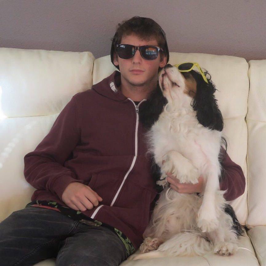 Mitchell tweet media