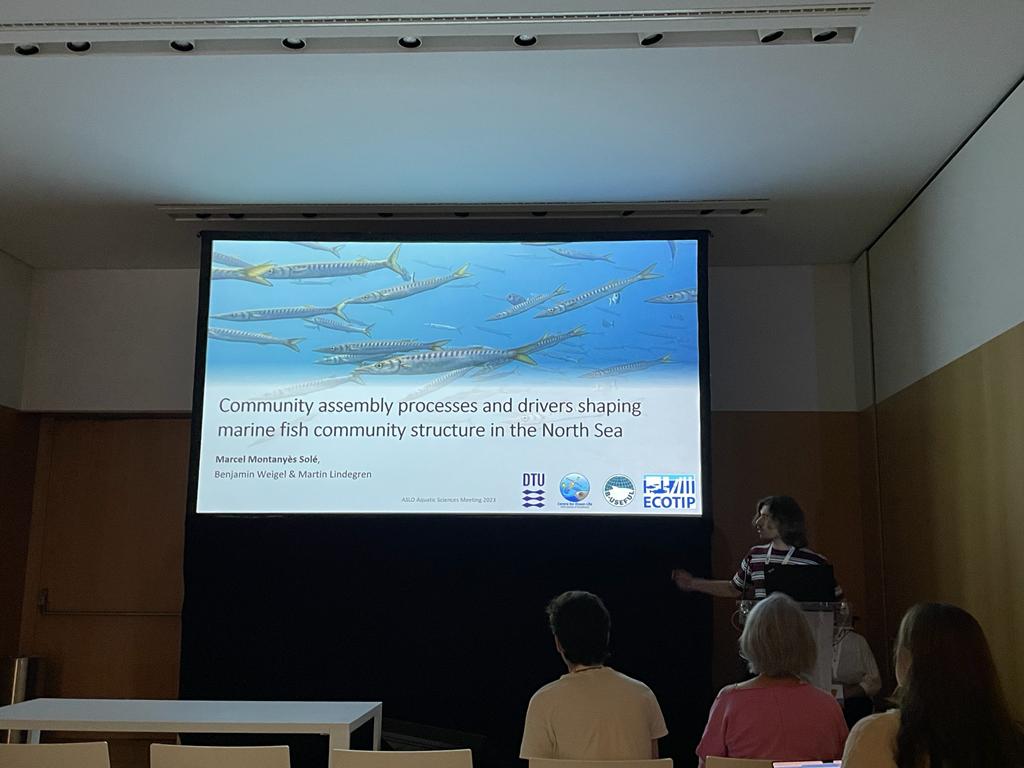 OceanLifeCentre's tweet photo. The 2nd day of #ASLO2023 started with some modelling! Our colleague @marshallxelo gave us a brilliant talk about the assembly rules shaping fish communities in the North Sea, which they observed using a joint species distribution modelling approach 🐟�� https://t.co/TC93wuxCBx