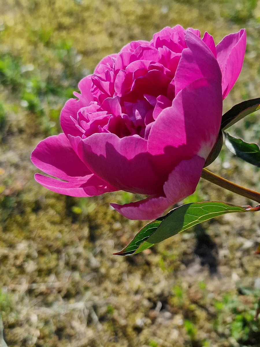OdenbachWitt's tweet photo. Good morning my friends. Happy tuesday. https://t.co/776o39iowK