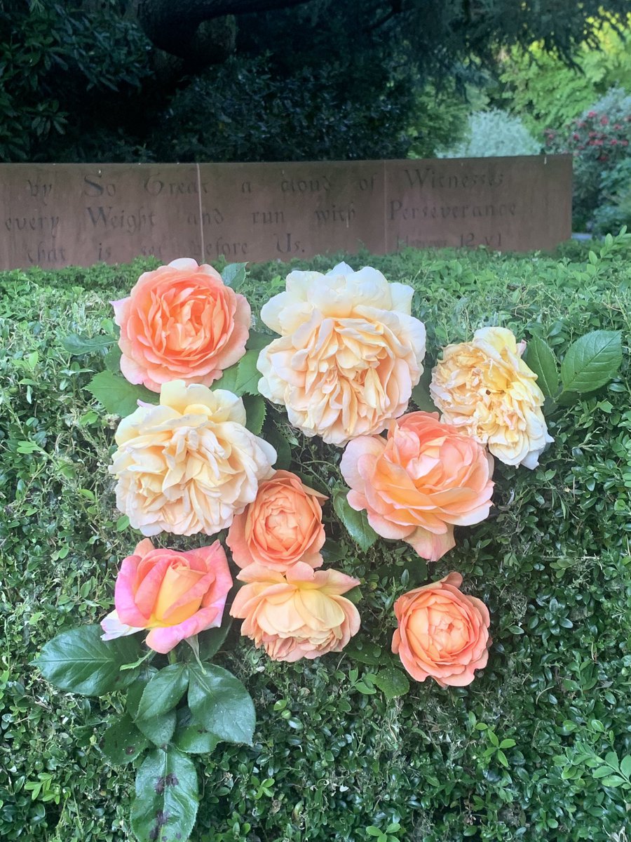 HilaryLowe42's tweet image. Lizzie would now be 23, 9 birthdays her presence absent, still so painful.
Please engage with and support  #batonofhope I’m taking part in the Manchester leg of the UK tour.