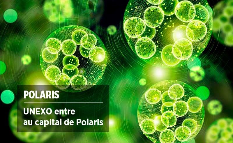 [#INVESTISSEMENT]
🔔 #UNEXO entre au capital de la société #Polaris, spécialiste de la production d’oméga-3 à partir de microalgues, aux côtés de <a href="/CereaPartners/">Cerea Partners</a>, d’@ArkeaCapital et de <a href="/SoderoGestion/">Sodero Gestion</a>.
#CapitalInvestissement <a href="/Credit_Agricole/">Groupe Crédit Agricole</a> 
➡️ unexo.fr/capital-invest…