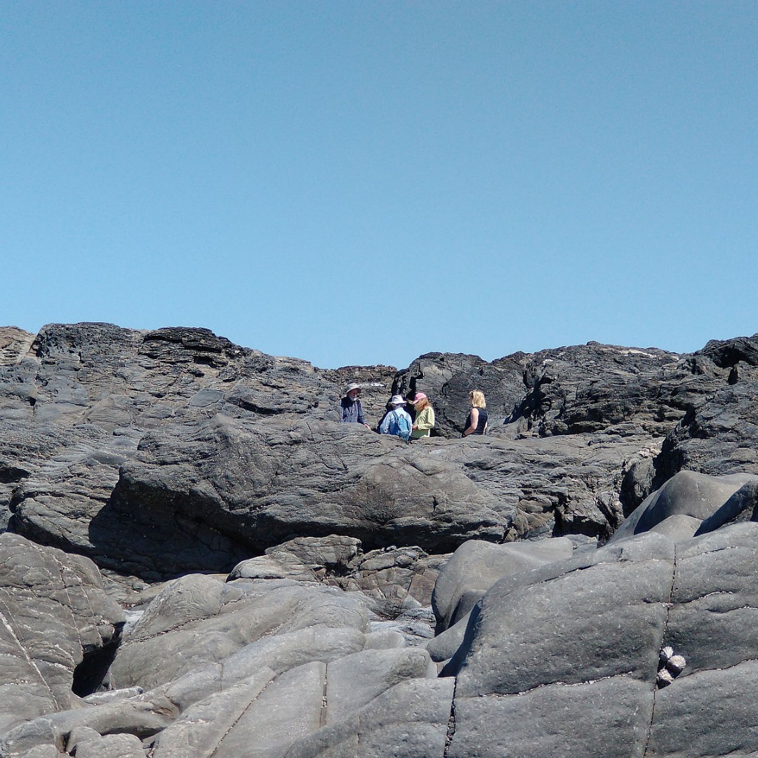 Our geology walk with geologist Paul Madgett went really well on the weekend. Focusing on how the coastline was formed around Down End &amp; looking at different types of rock formations present.

Paul's next Baggy Point walk is on Sat, 24th June.
Book here: eventbrite.com/e/641312853007