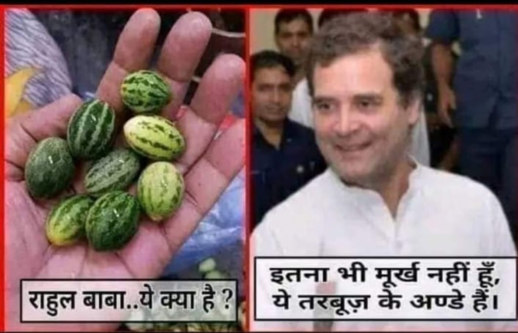 AshwinBhagde's tweet photo. @LambaAlka @RahulGandhi Akkal to iti si hai https://t.co/8et1LQ5v3F