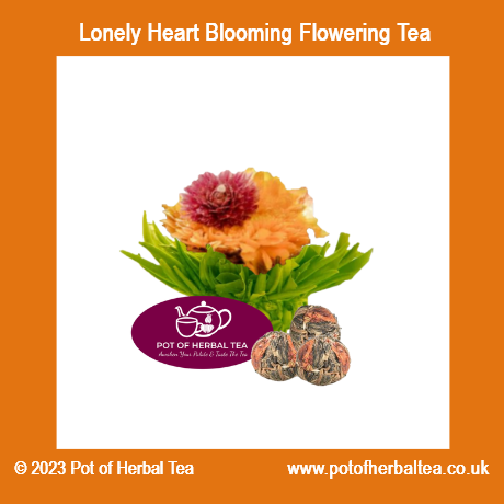 PotOfHerbalTea's tweet photo. Good morning. Here are some of the new Herbal Teas &amp; Blooming Flowering Teas are will be available this week. #Queenof Herbal Tea. #Bloomingtea #floweringtea #healthytea #functionaltea #loosetea #smallbusiness #bizuk #smallbizuk #earlybiz #supportsmallbusinesses https://t.co/uIEkFraeUw
