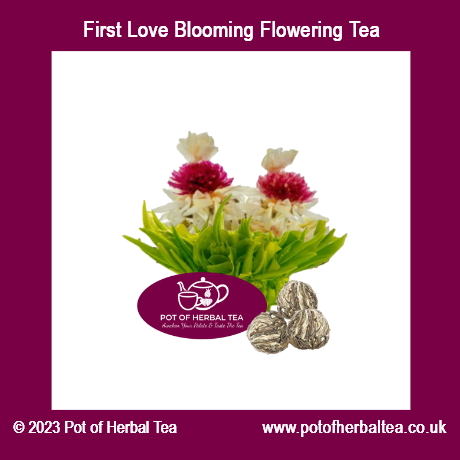 PotOfHerbalTea's tweet photo. Good morning. Here are some of the new Herbal Teas &amp; Blooming Flowering Teas are will be available this week. #Queenof Herbal Tea. #Bloomingtea #floweringtea #healthytea #functionaltea #loosetea #smallbusiness #bizuk #smallbizuk #earlybiz #supportsmallbusinesses https://t.co/uIEkFraeUw