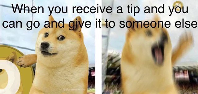Happy #TippingTuesday dear #DogeFam! Who will you send a #DogeTip today? Download @MyDogeOfficial for easy tipping and an endless stream of memes 🐕 #ChiefTip