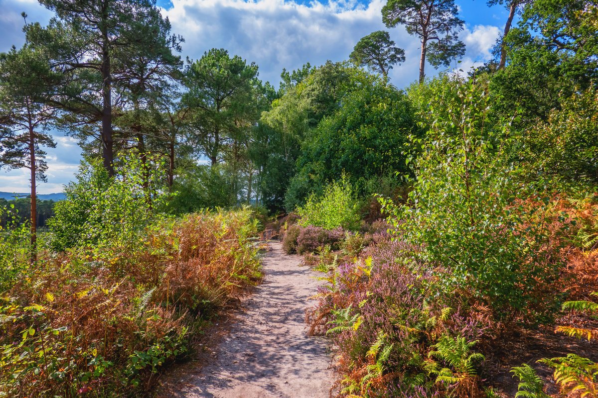 Summer is a great time to get outside, meet new people and enjoy nature.

On Monday 19 June and Thursday 6 July, South Downs Health and Wellbeing Officer Kate Drake will be running creative walk sessions at <a href="/RSPBPulborough/">RSPB Pulborough Brooks</a> with <a href="/Creative_Waves/">Creative Waves</a>