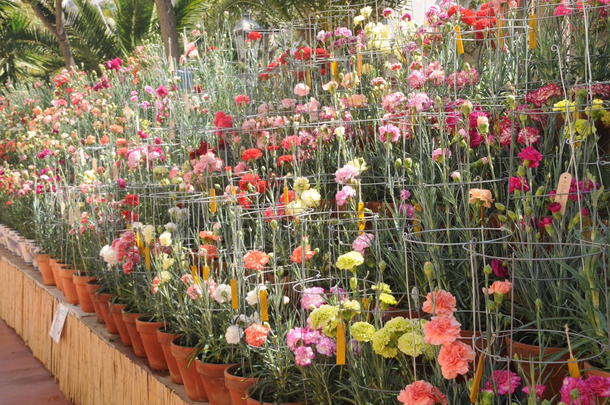 Divendres 9 de juny, a les 22h

🌸Pregó del Clavell 2023🌸

A càrrec de Mireia Rossell i Pascual <a href="/Mireiarossellp/">Mireia Rossell</a> 

📍Jardins de la Societat Recreativa El Retiro

👉culturasitges.cat/esdeveniments-…