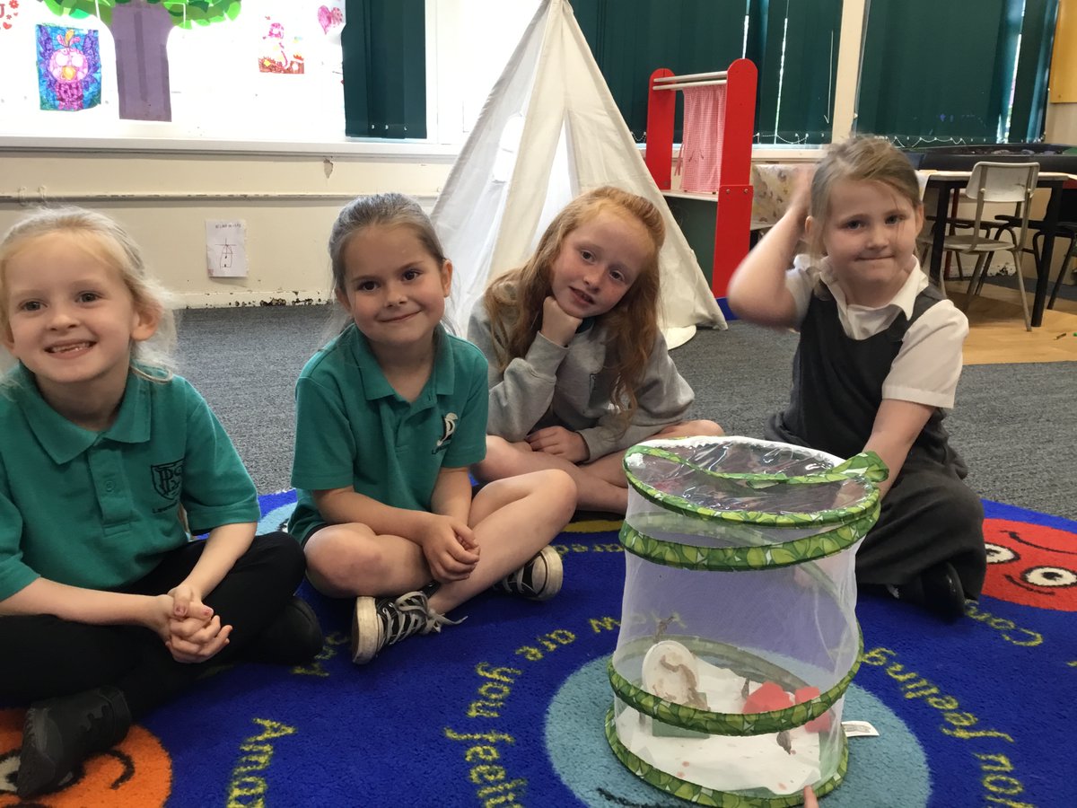 MissLSStewart's tweet photo. Room 3 have enjoyed learning about the life cycle of a butterfly. We really enjoyed watching our caterpillars turn into butterflies. @LawmuirPS https://t.co/O8TFXTl7jm
