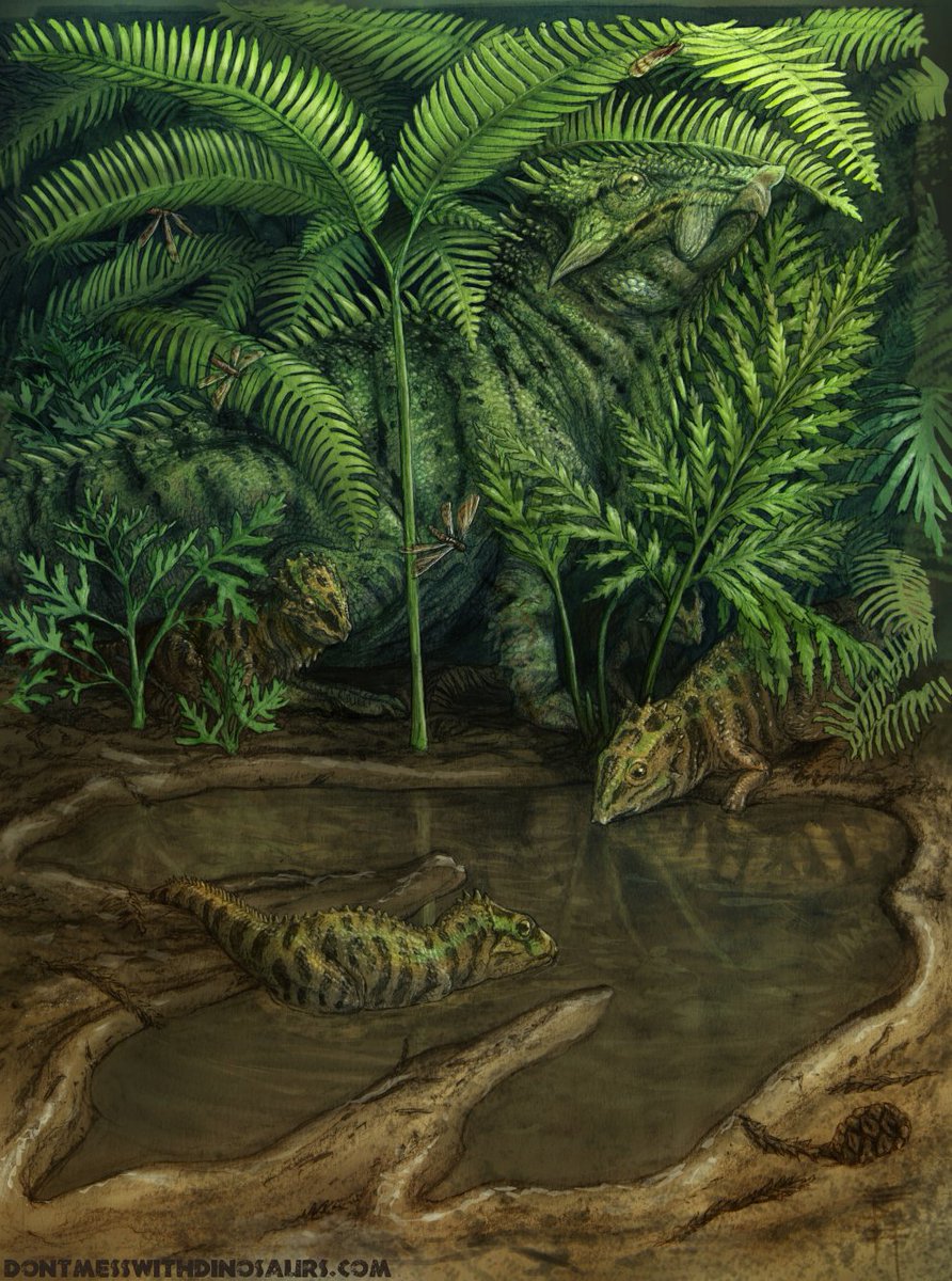 One of my favorite paleoart tropes are small or baby ceratopsian dinosaurs with camo colors and patterns, for camouflage against hungry predators.

@SerpenIllus @BrianEngh_Art