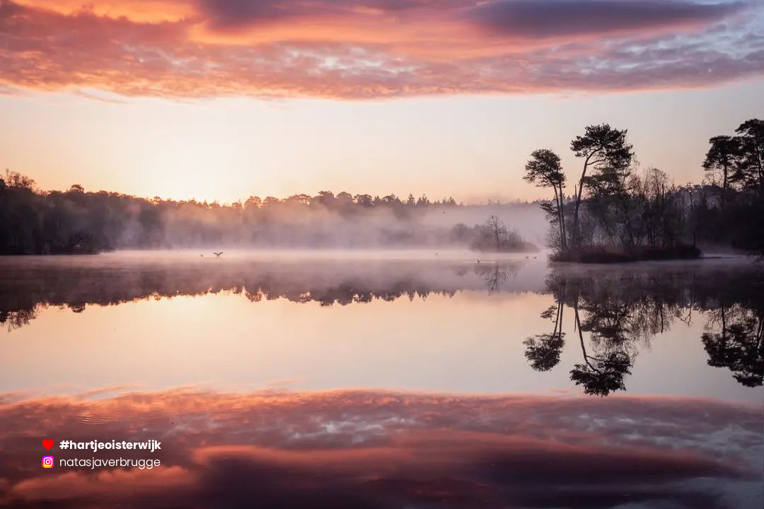 📷 Foto: Natasja Jacobs-Verbrugge
🔎 instagram.com/natasjaverbrug…
♥ 𝗭𝗲𝗹𝗳 𝗲𝗲𝗻 𝗺𝗼𝗼𝗶𝗲 𝗳𝗼𝘁𝗼? 𝗚𝗲𝗯𝗿𝘂𝗶𝗸 #hartjeoisterwijk

-
#naturephotography #noordbrabantdichterbij #nature #oisterwijk #netherlands #oisterwijksebossenenvennen #visitbrabant #nederland