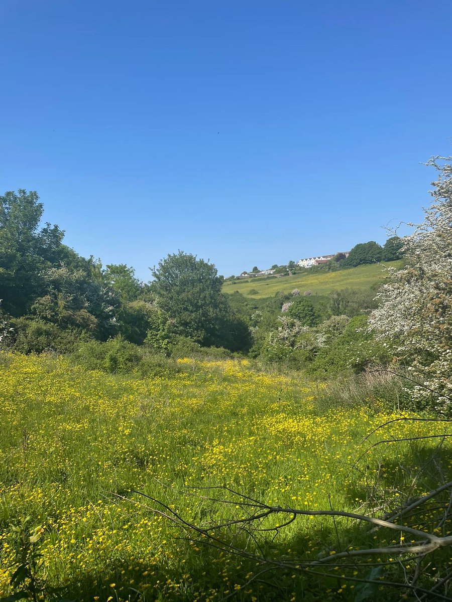 FriendsWESlopes's tweet photo. Not everything needs to modernise. Here’s a piece of the Bristol that many of us know and will fight fiercely to keep. it doesn’t need new homes because it already is one 💚 #saveourslopes #saveyewtreefarm #savebrislingtonmeadows https://t.co/Xnfjp1X9tP