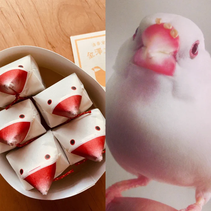 とても可愛いお土産をいただいてしまった!「金澤文鳥」という羊羹でした うちの永遠のBIG LOVEと比較
