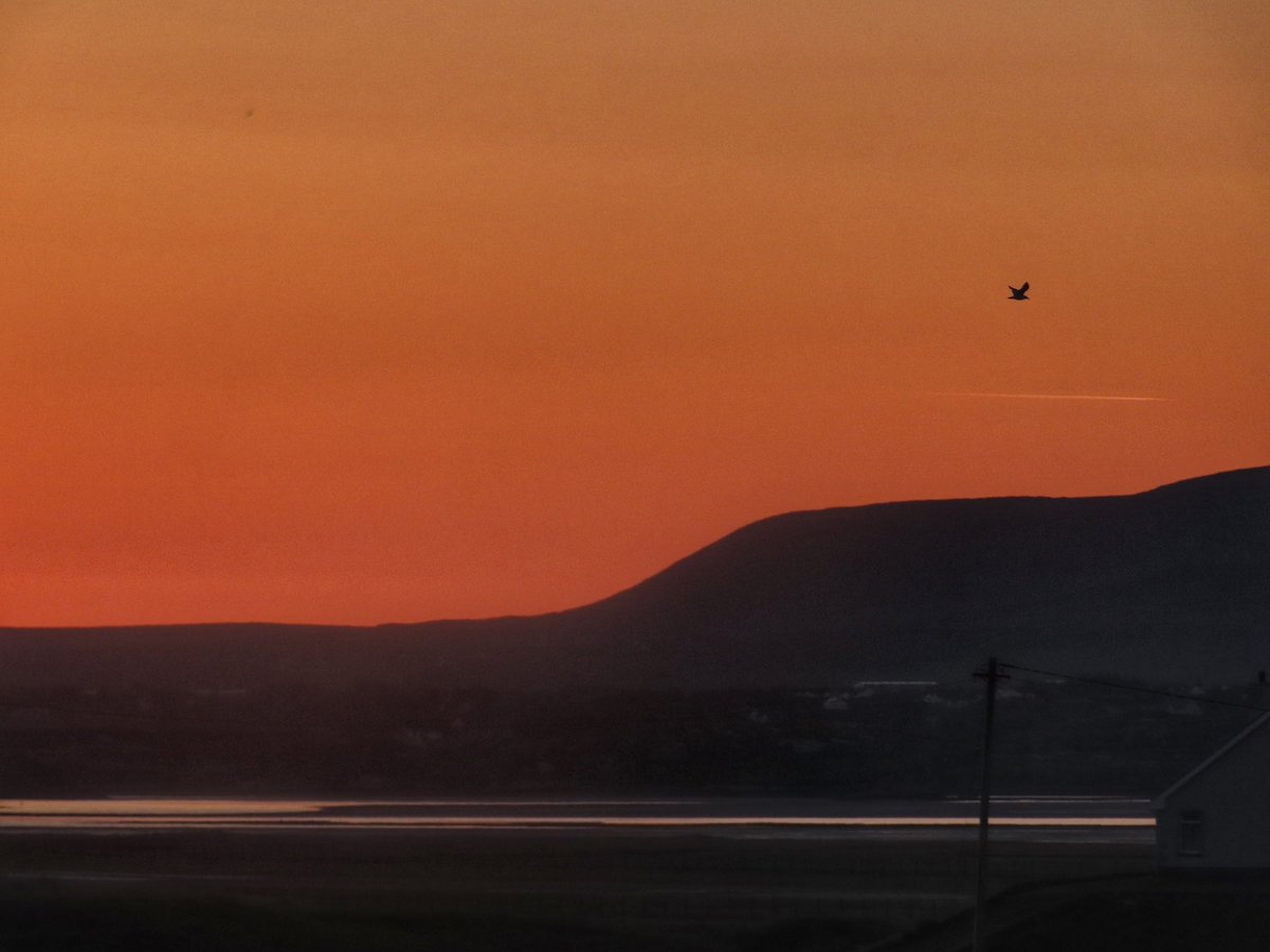 wildswimmer67's tweet photo. Sunrise shades, Donegal style, from Braade #viewfromourkitchendoor #DonegallabouttheLight #ireland #donegal #sunrise #meteirann #donegalweather  #irishsunrise #rteweather #cloudappreciationsociety https://t.co/0Yq6AkrsHi
