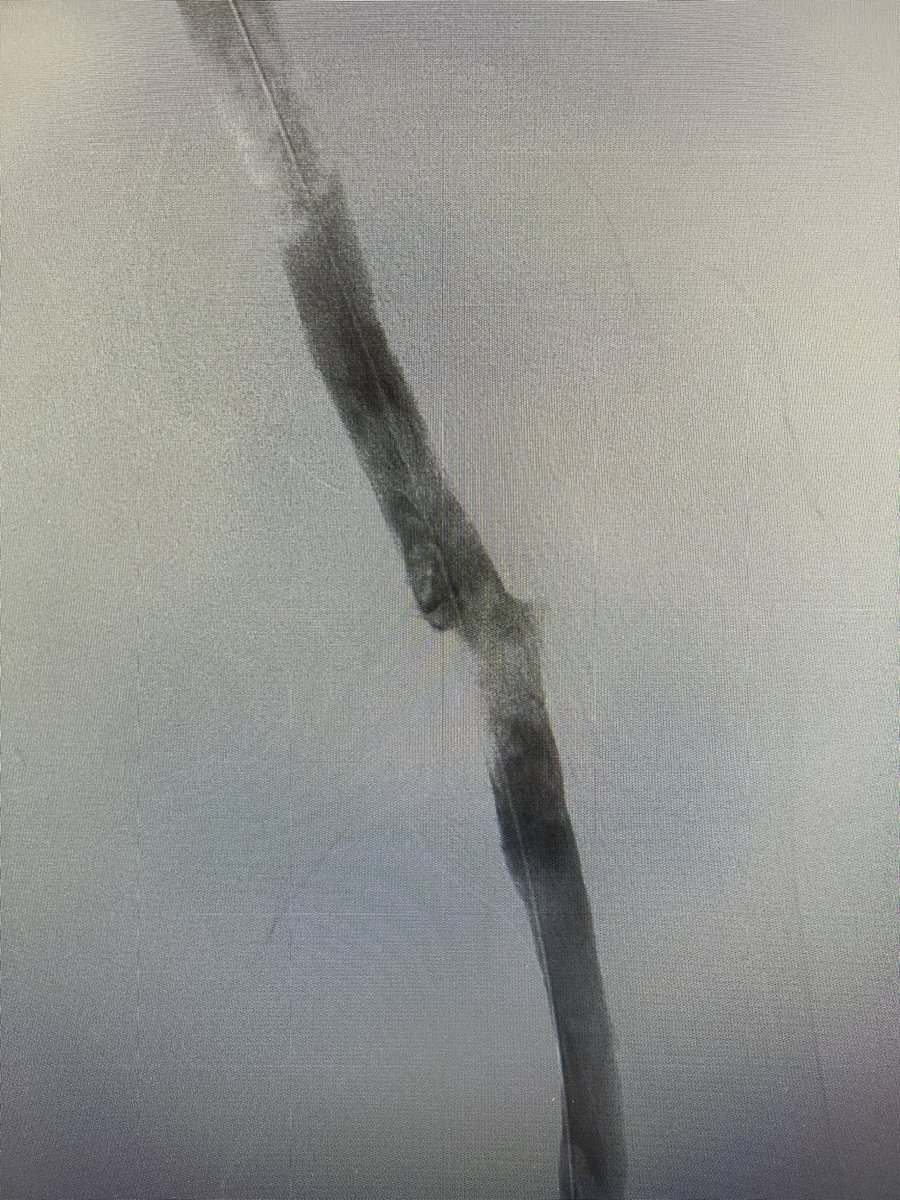 André Poci tweet media