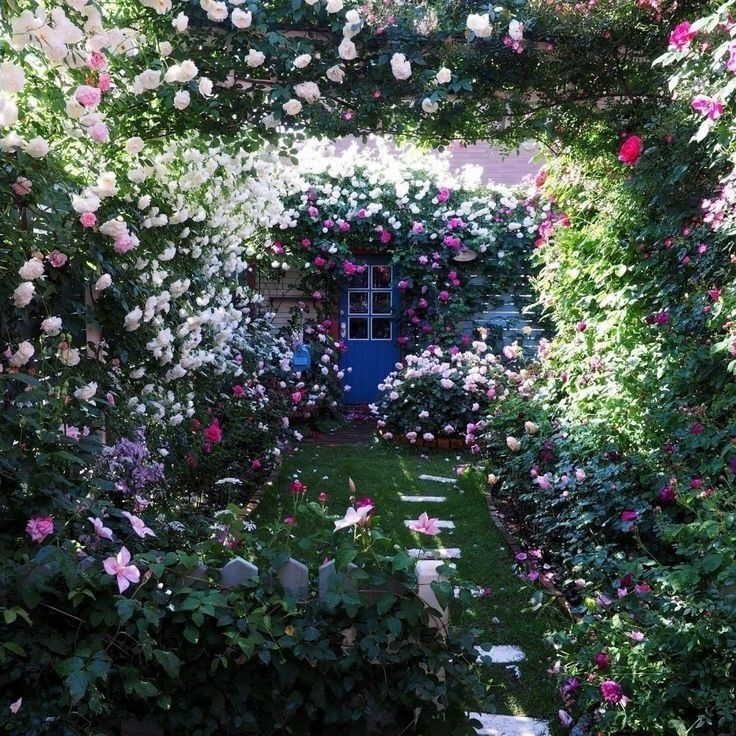 poetical photos. (@poeticalphotos) on Twitter photo 