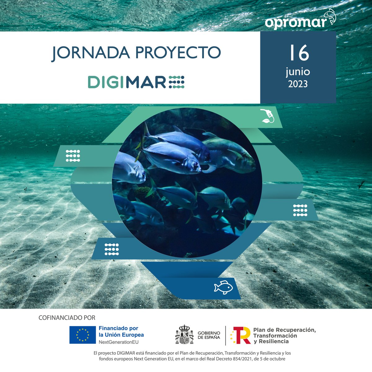 Opromar1's tweet image. #AGENDA // Anota esta fecha! El 16 de junio llevaremos a cabo en el edificio de la Autoridad Portuaria de Marín una jornada sobre el proyecto #DIGIMAR para la mejora de la gestión pesquera a bordo a través de la #digitalización
Inscríbete aquí: registro.eventospesca.com/jornada-proyec…