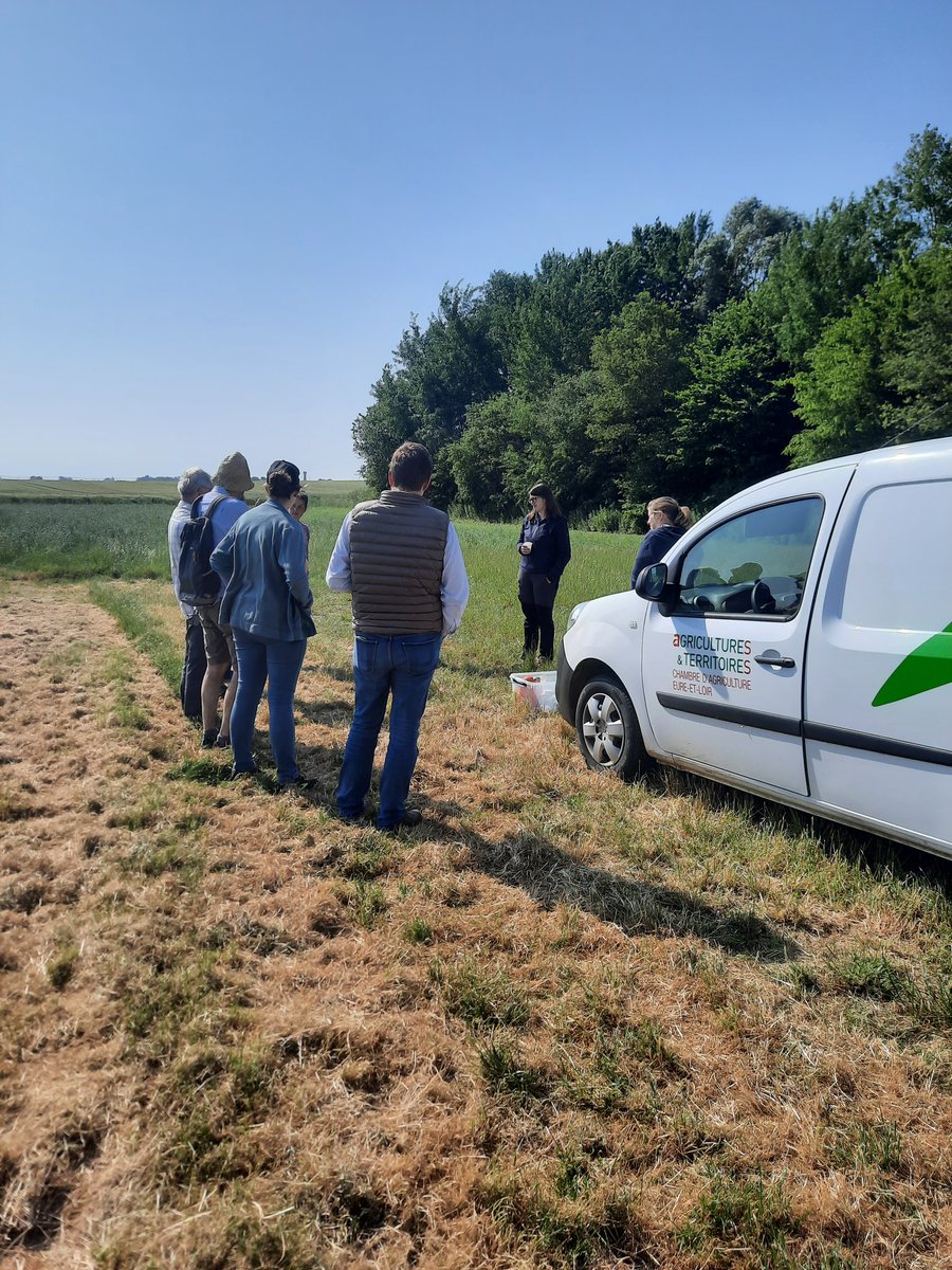 🐝🪲 Hier, une formation sur les auxiliaires et les pollinisateurs a eu lieu à Saint-Maur-sur-Le-Loir. Elle a été organisée par la @chambagri28 et la <a href="/ChambagriCvl/">CRA Centre-Val de Loire</a> et elle a été animée par le Laboratoire d'Ecoentomologie d'Orléans !