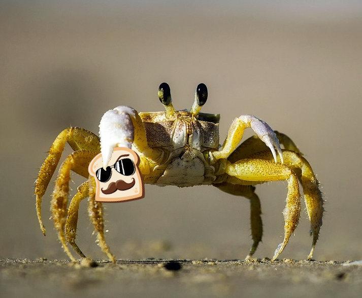 stalking_bread's tweet photo. A special stream is coming on the 13th of June. 🦀

Dare I say a very "Crabby" stream is coming. 🦀

Come on by at 18:00PM GMT +2 for a lovely game of Crab Champions. There will be sun, beaches, chill vibes and most importantly: Crabs.  🦀

#twitch #crab #crabchampions #gaming https://t.co/0qO9Xc2a82
