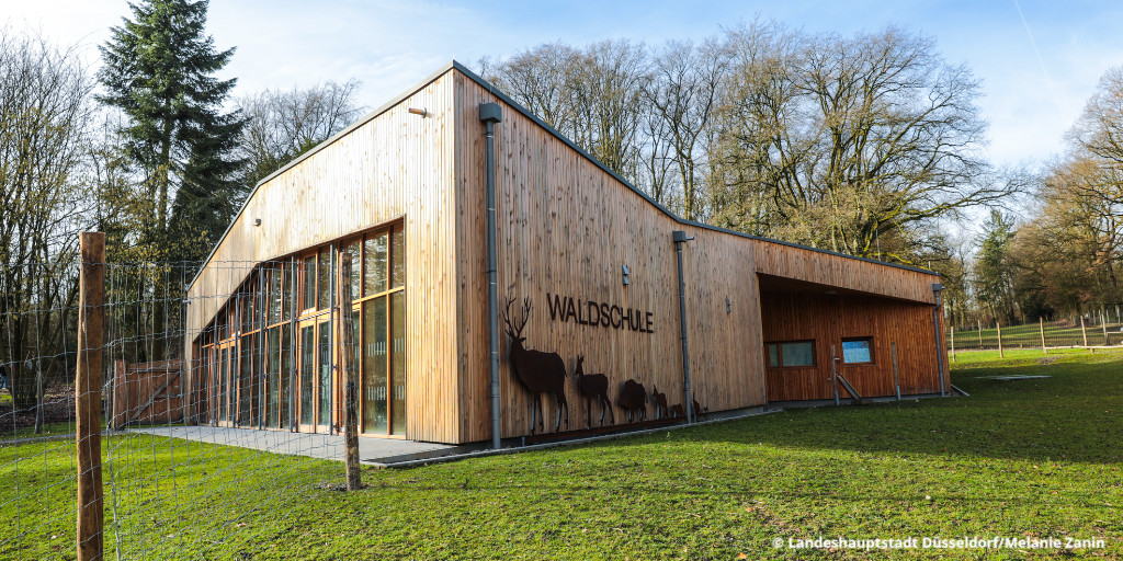 Duesseldorf's tweet photo. #Waldschule #Düsseldorf: Kostenfreies Ferienprogramm ab 26. Juni!
Können Bäume miteinander sprechen? Und wer fliegt und krabbelt um uns herum? Familien mit Kindern von 5-12 Jahren können sich ab sofort für die Veranstaltungen anmelden.
Infos & Anmeldung: https://t.co/k6c99tLtD2 https://t.co/oNGkLtO1H0