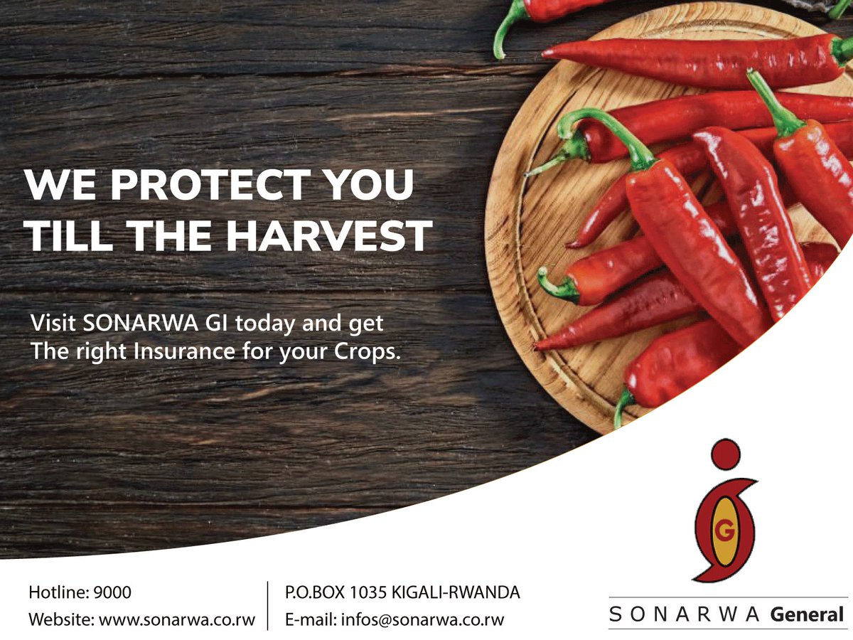 Good morning good people.
Success is when opportunity meets preparedness. 
Insure your crops with SONARWA #CropInsurance now and be sure that your crops are protected till the harvest. Call us on 9000 and get a quotation.
#CropInsurance 
#SonarwaGI 
#RwOT